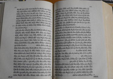 torah.jpg