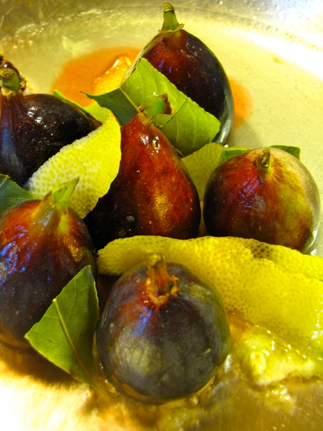 fichialgaloppo