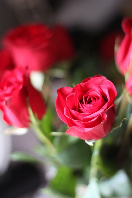 roses