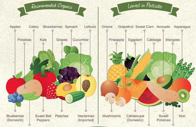 Organic vs. Conventional -- click on pic to take you to original