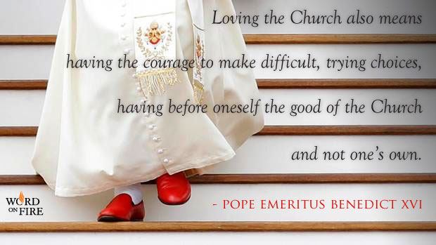 from Fr. Barron